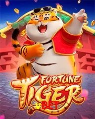 VBET.COM